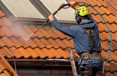 Démoussage et hydrofuge de toiture à Ambonville